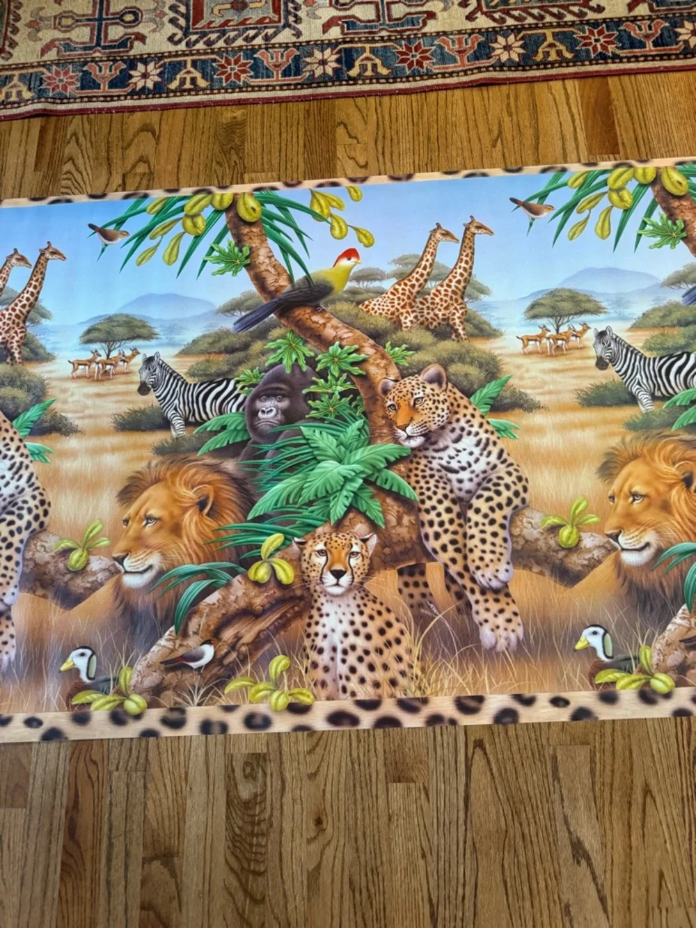 Unknown vintage safari